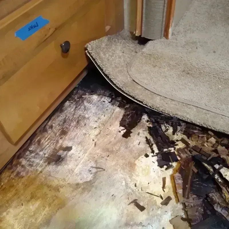 Best Wood Floor Water Damage Service in Hanover, PA